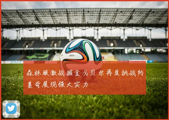 森林狼激战掘金戈贝尔再度挑战约基奇展现强大实力